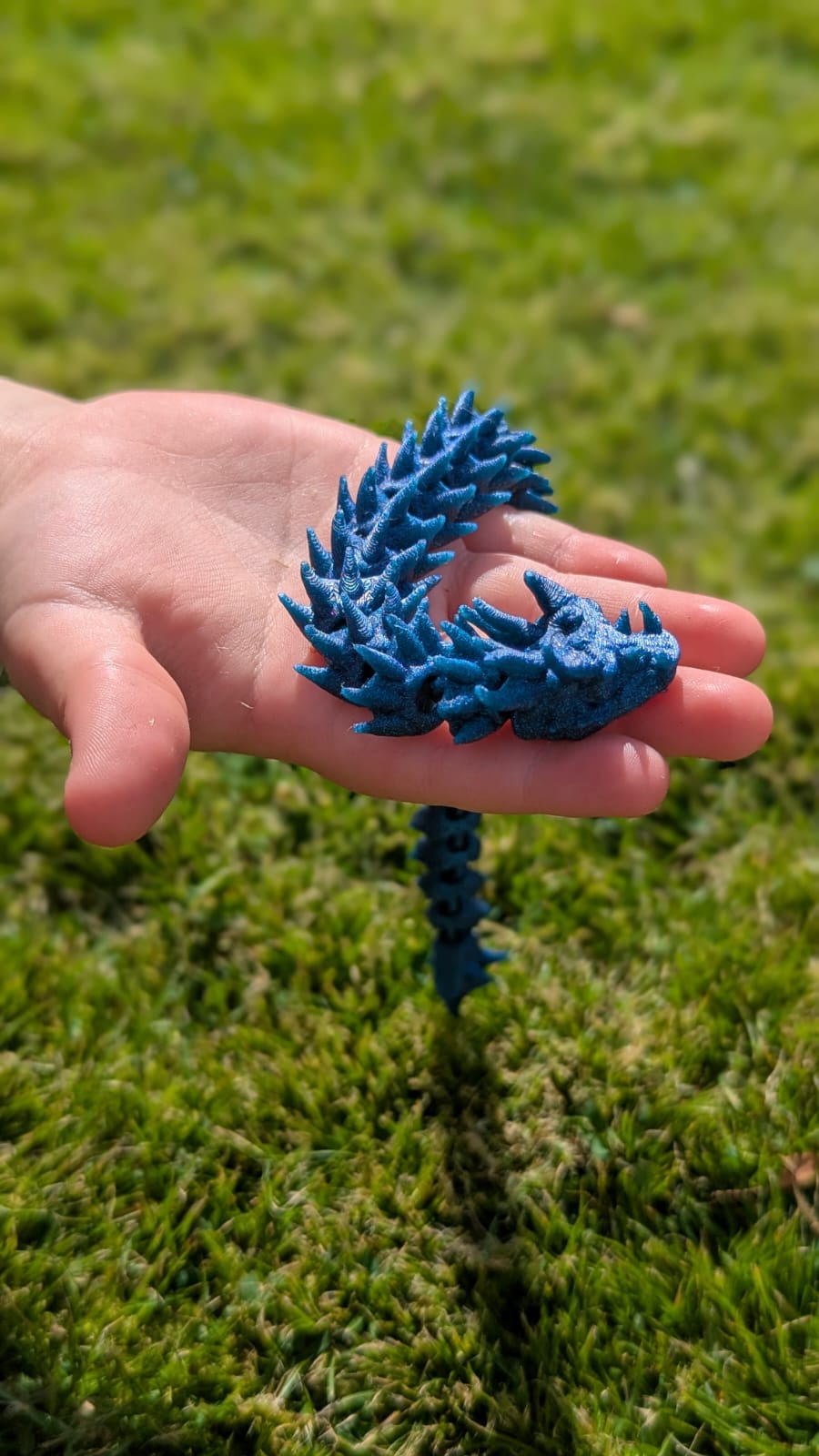 Dragon Egg
