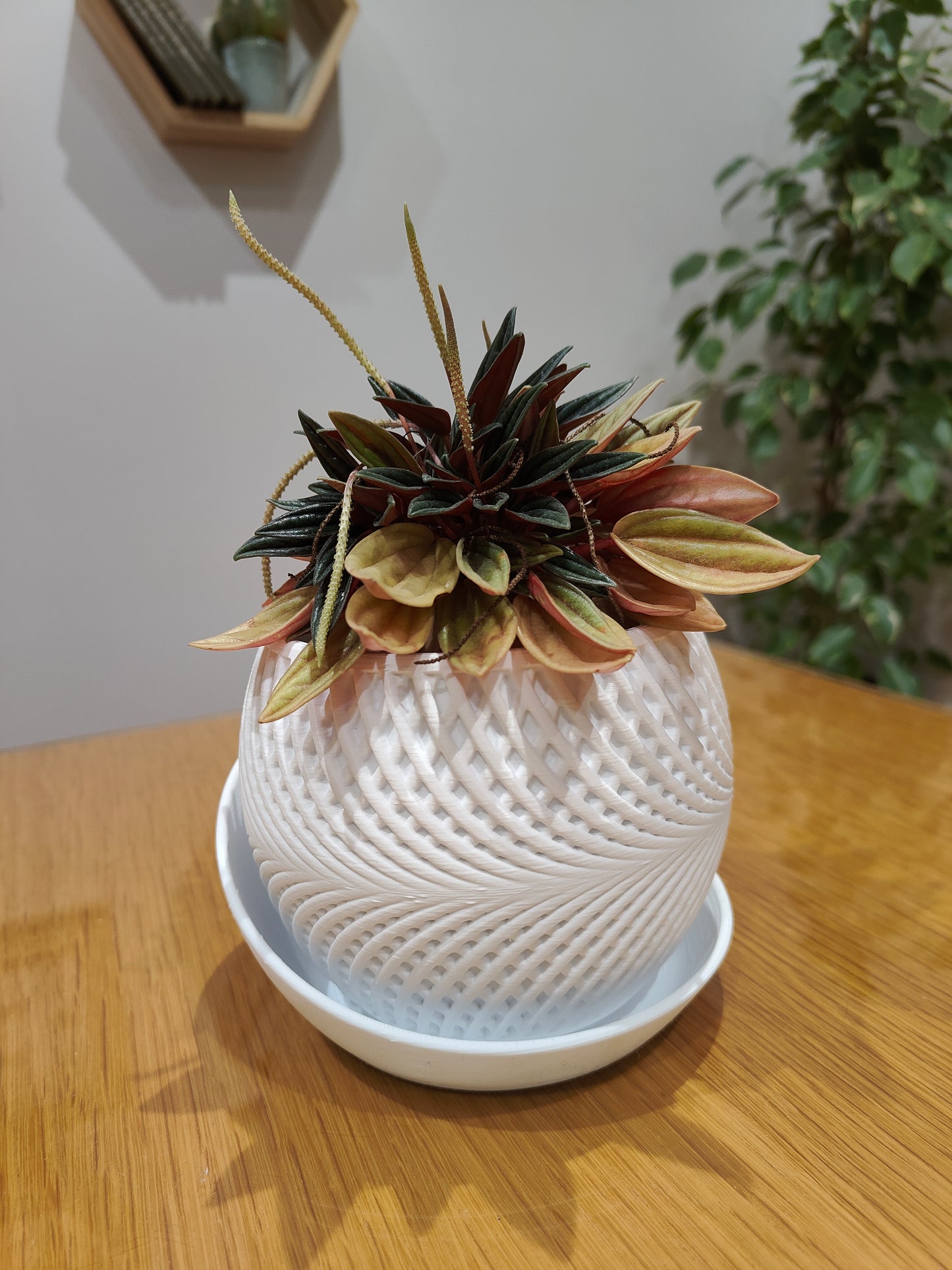 3D printed plant pot
