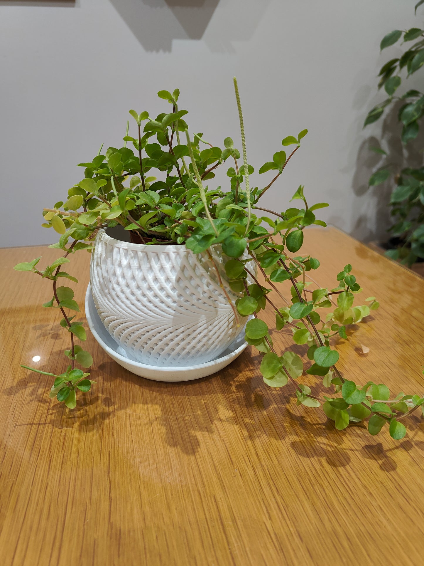 3D printed plant pot