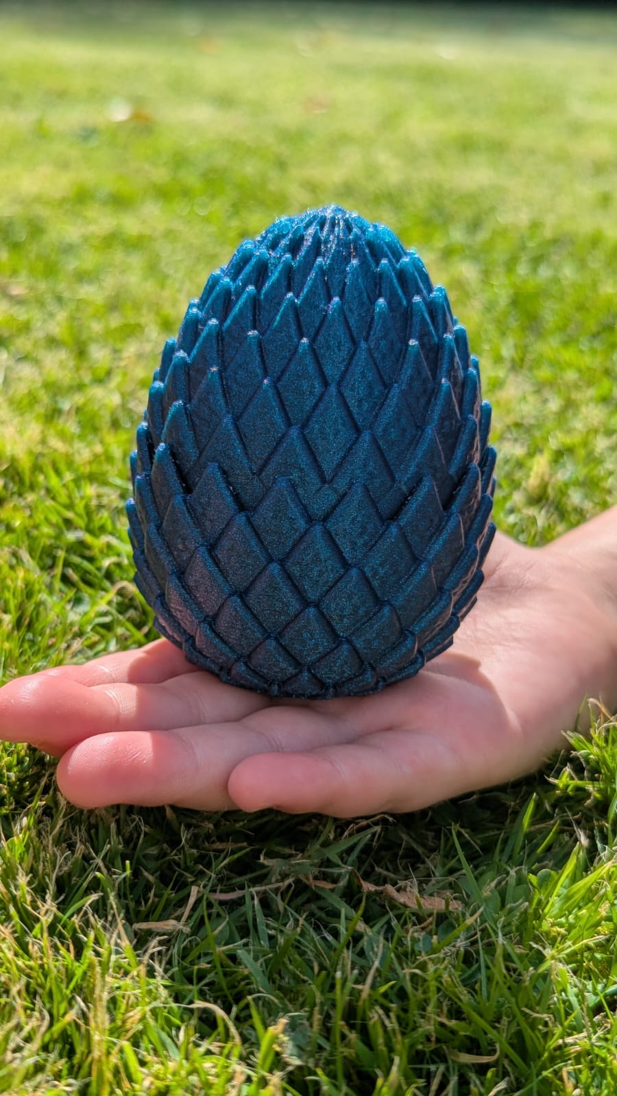 Dragon Egg