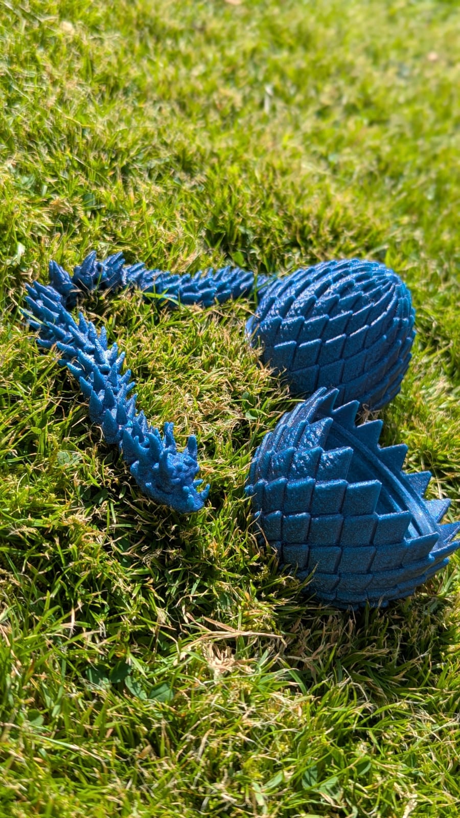 Dragon Egg